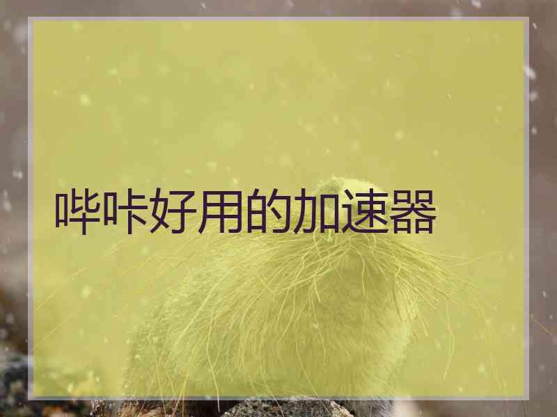 哔咔好用的加速器