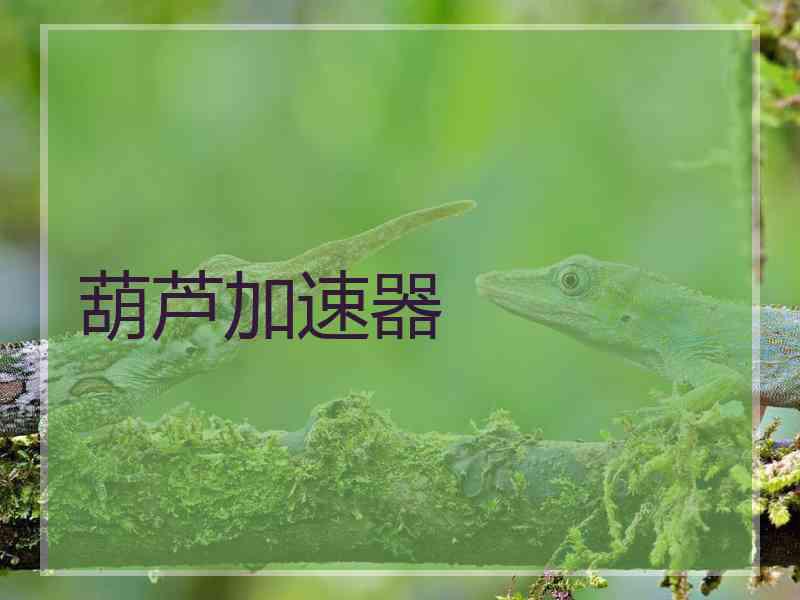 葫芦加速器