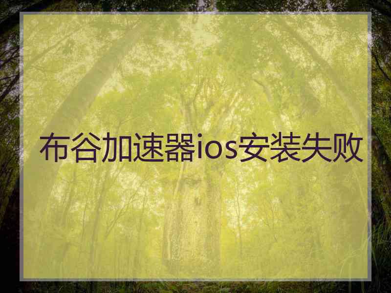 布谷加速器ios安装失败