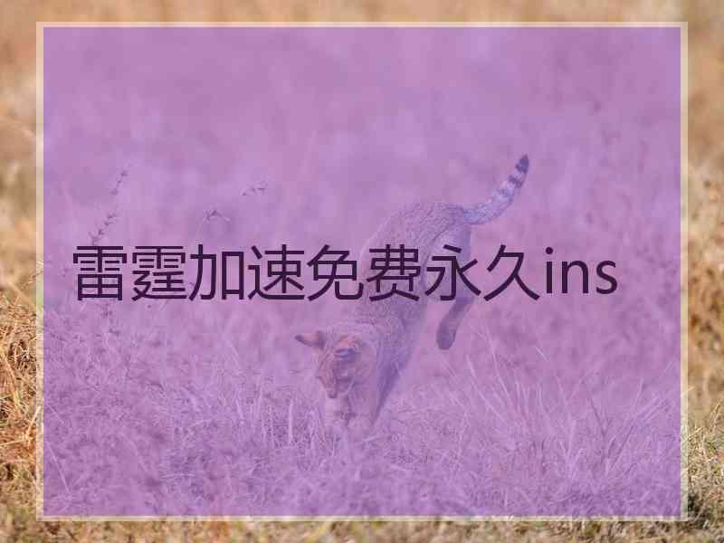 雷霆加速免费永久ins