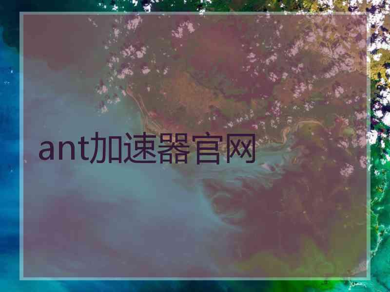 ant加速器官网