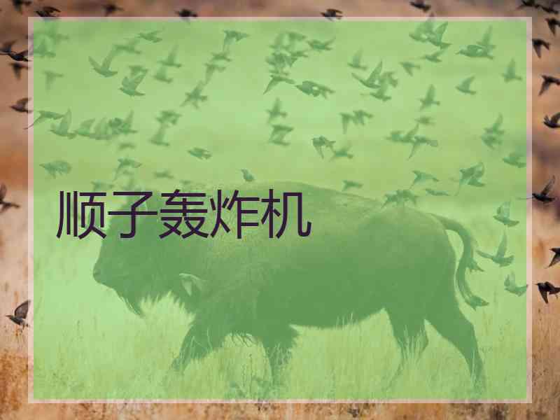 顺子轰炸机