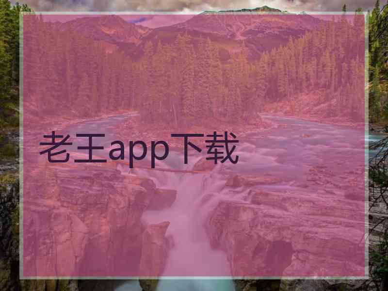 老王app下载
