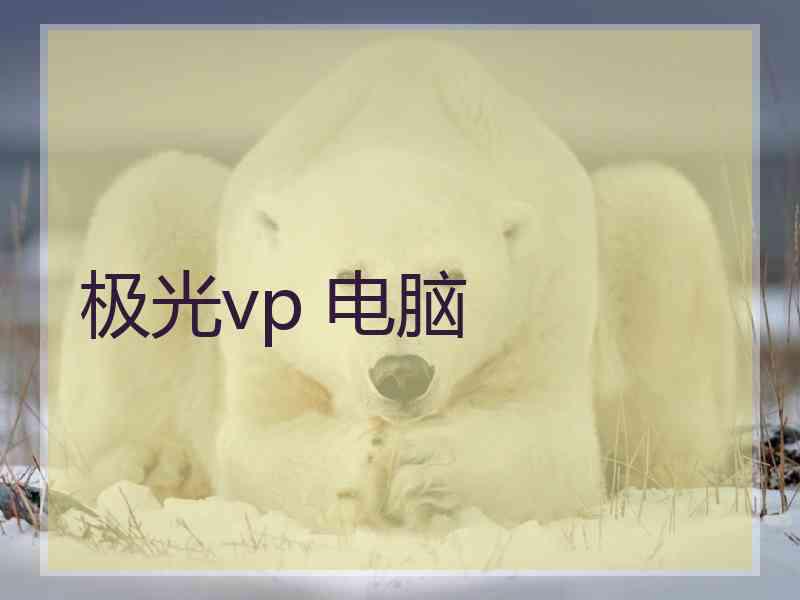 极光vp 电脑
