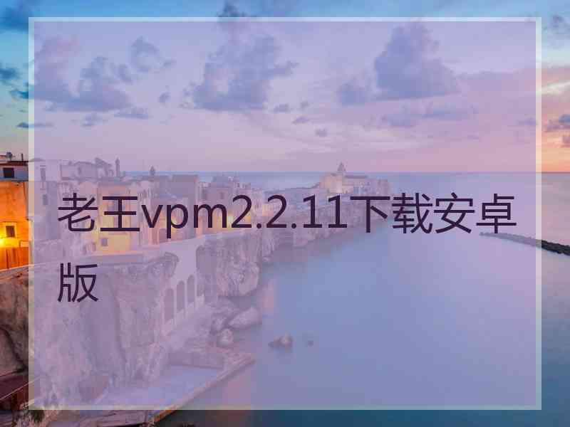 老王vpm2.2.11下载安卓版