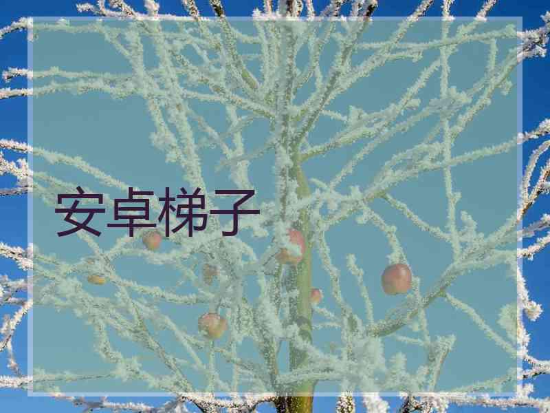 安卓梯子
