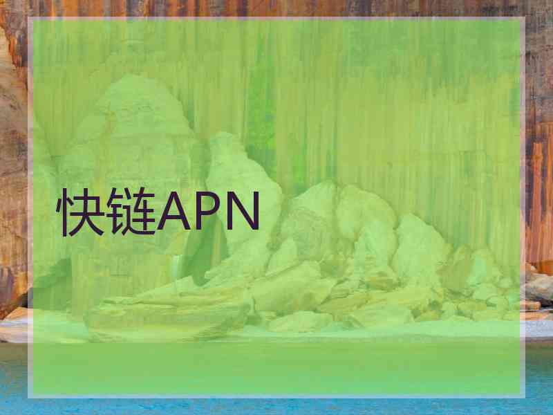 快链APN
