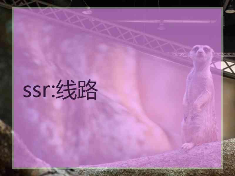 ssr:线路