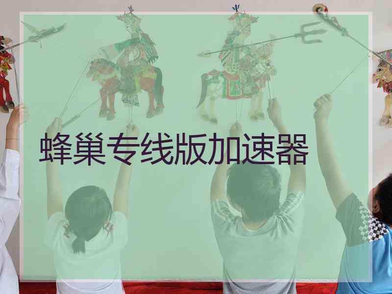 蜂巢专线版加速器