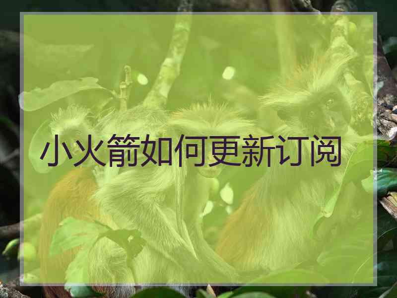 小火箭如何更新订阅