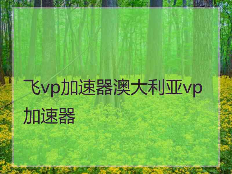 飞vp加速器澳大利亚vp加速器