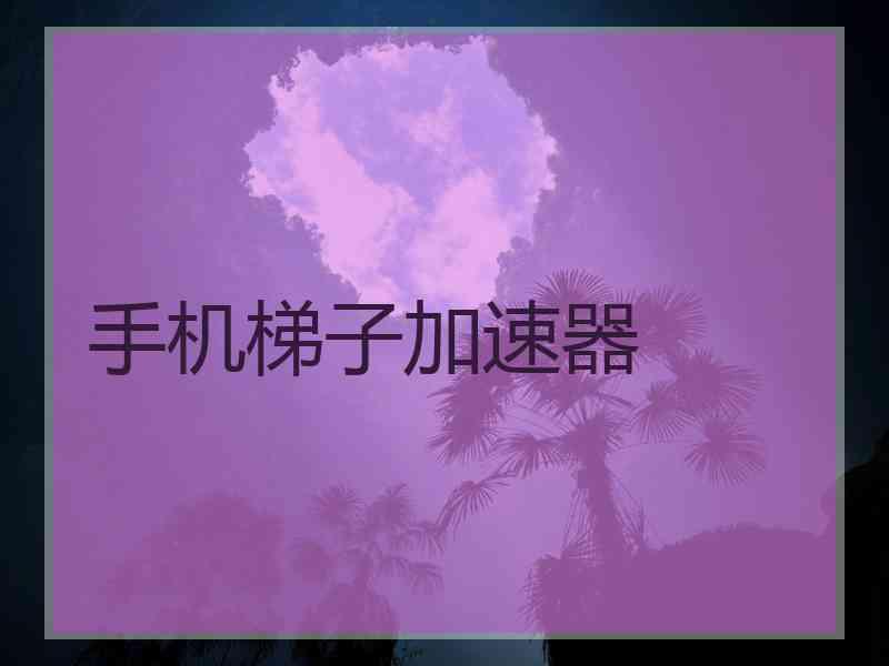 手机梯子加速器