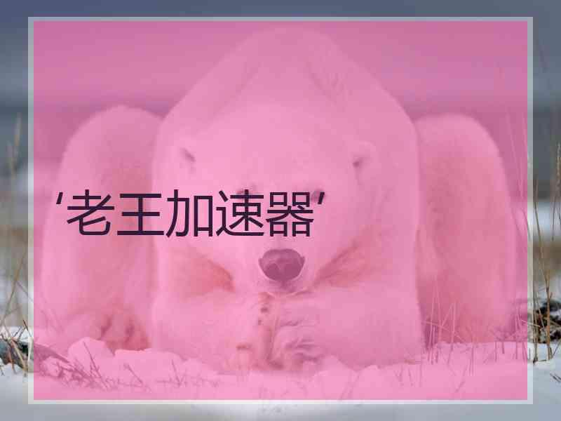 ‘老王加速器’