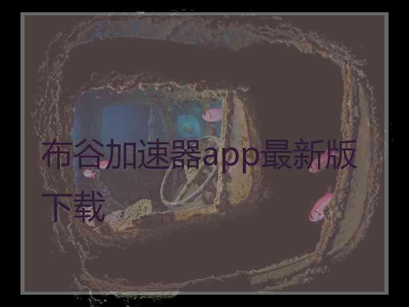 布谷加速器app最新版下载