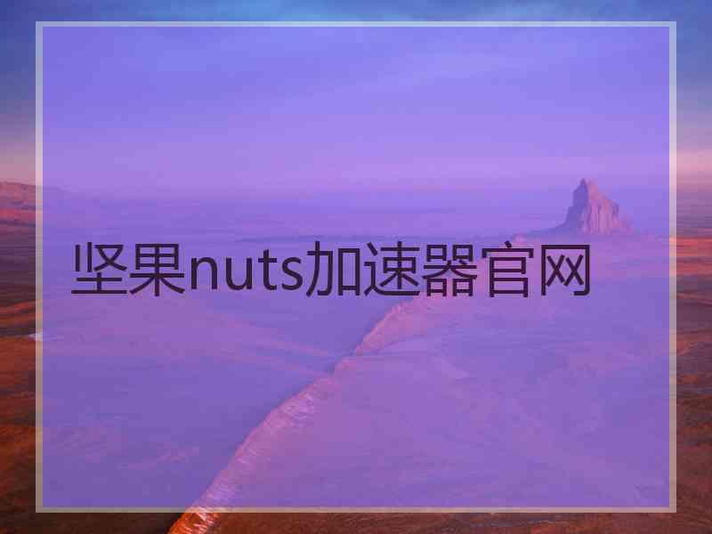 坚果nuts加速器官网