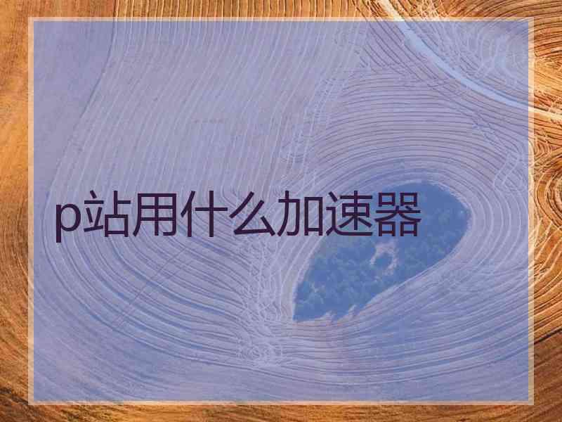 p站用什么加速器