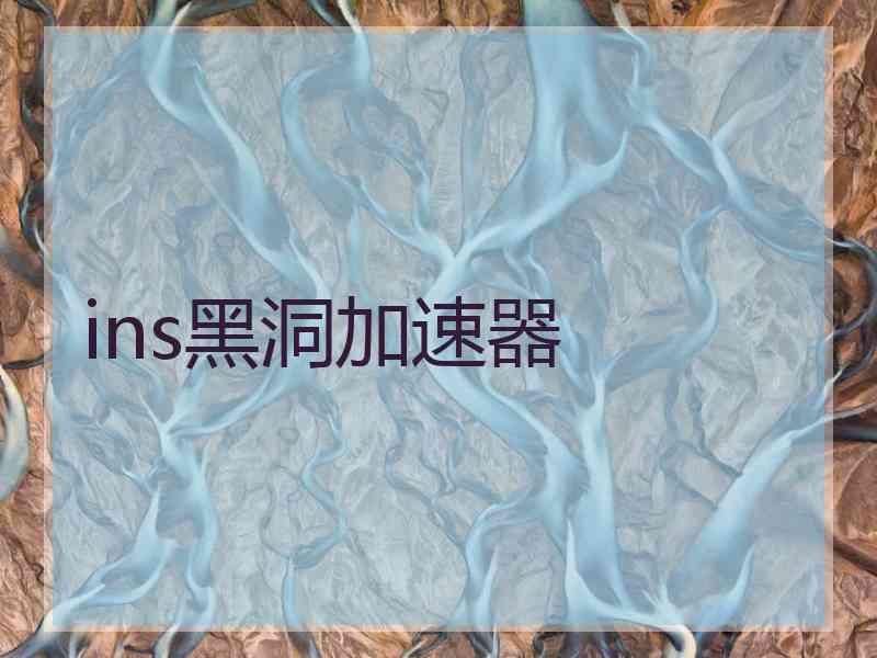 ins黑洞加速器