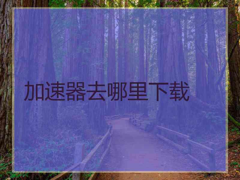 加速器去哪里下载