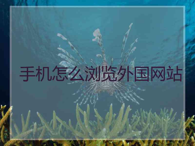 手机怎么浏览外国网站