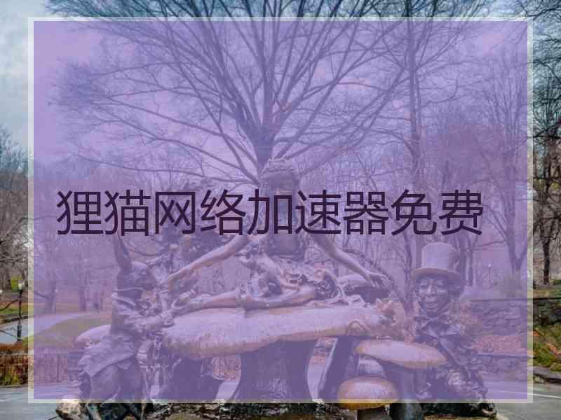 狸猫网络加速器免费
