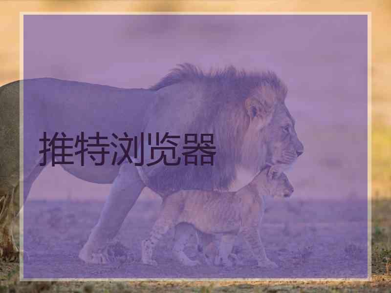 推特浏览器