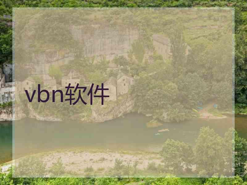 vbn软件
