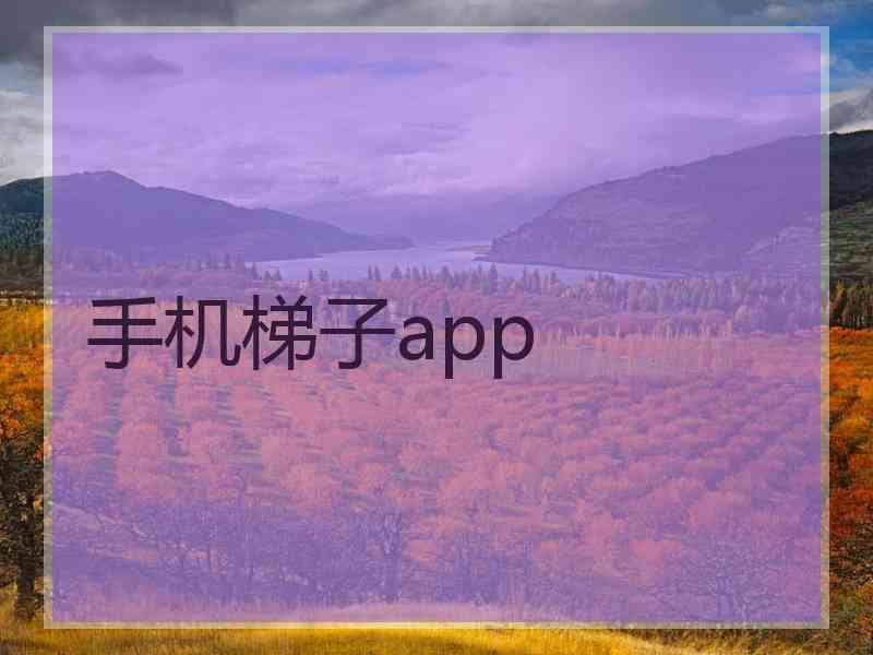 手机梯子app