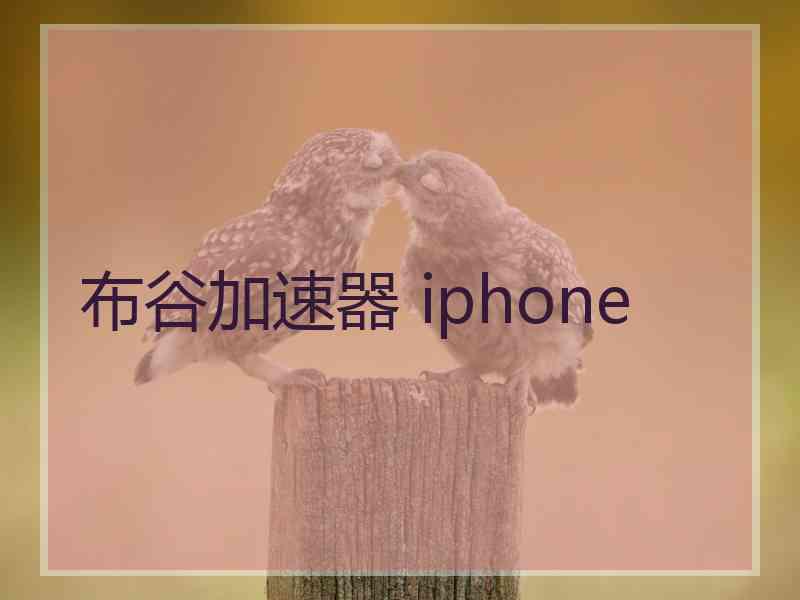 布谷加速器 iphone