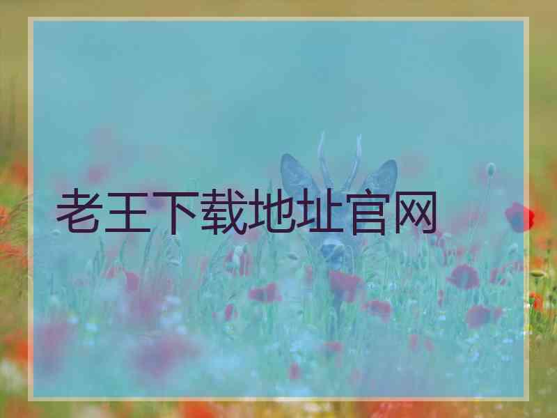老王下载地址官网