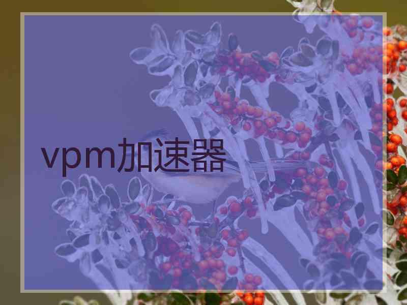 vpm加速器