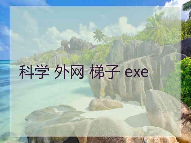 科学 外网 梯子 exe
