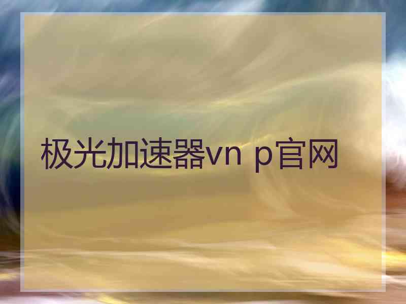 极光加速器vn p官网