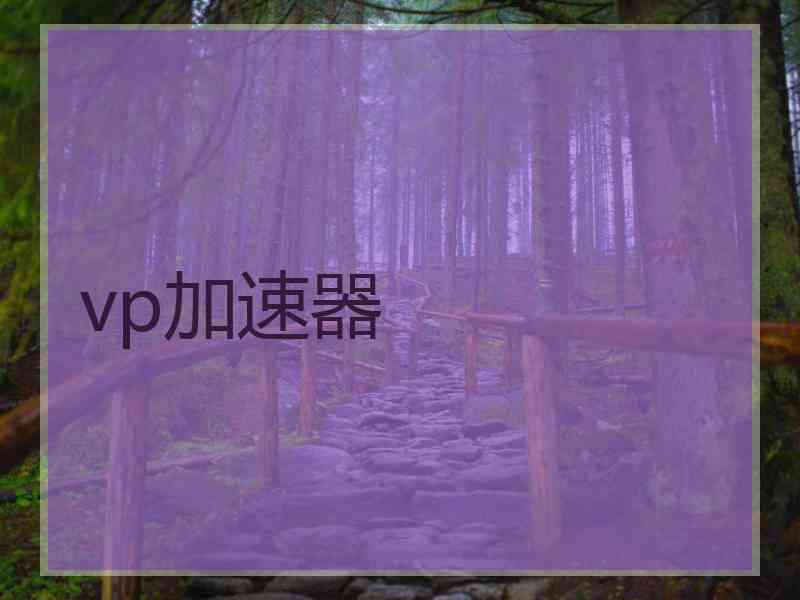 vp加速器