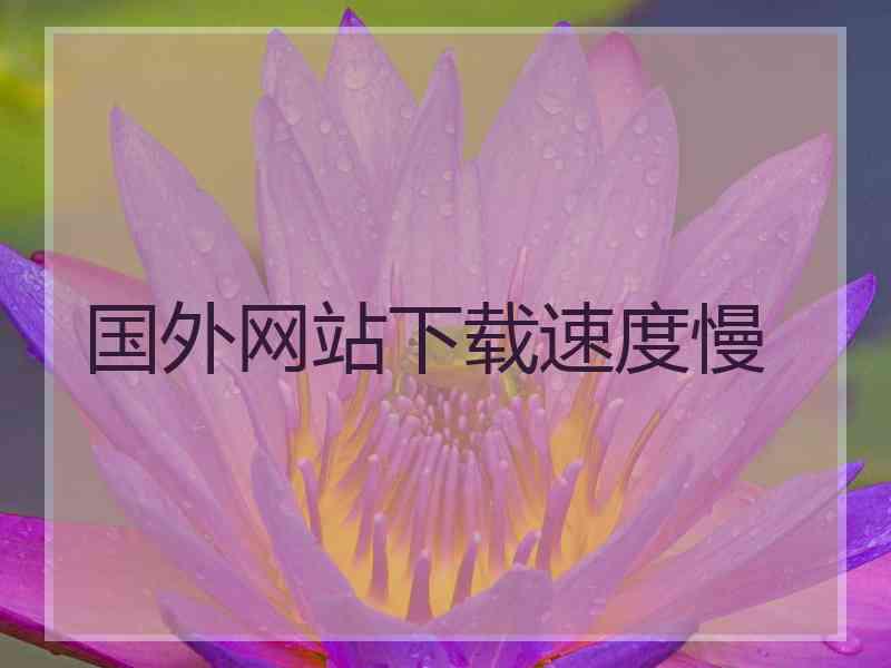 国外网站下载速度慢