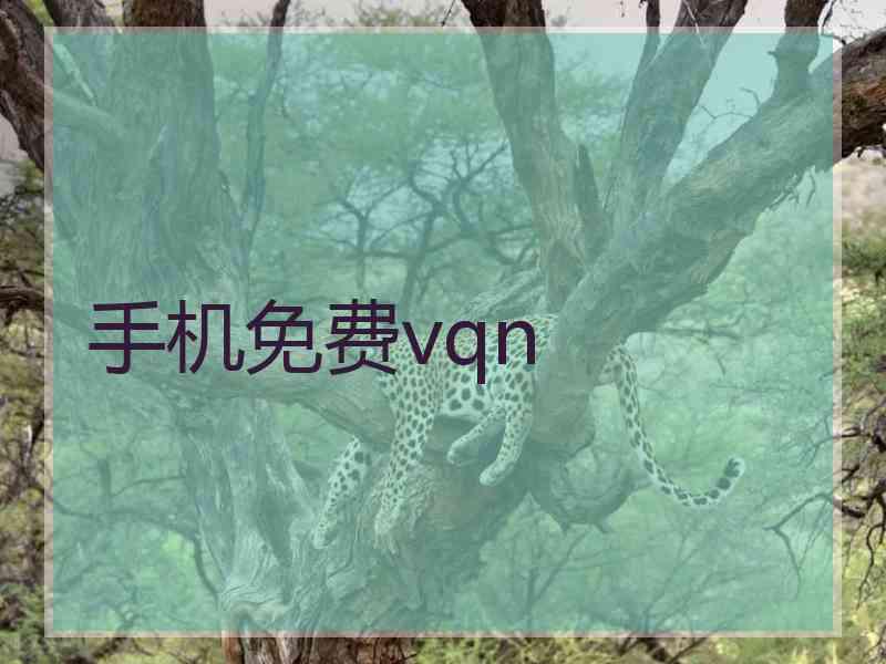 手机免费vqn