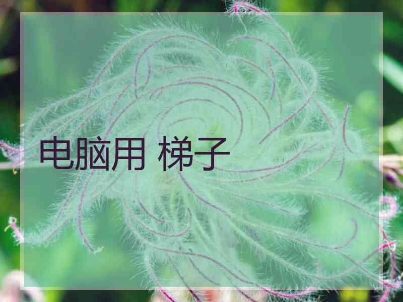 电脑用 梯子