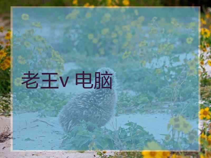 老王v 电脑