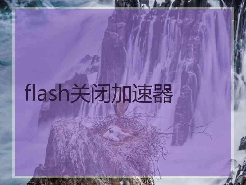flash关闭加速器