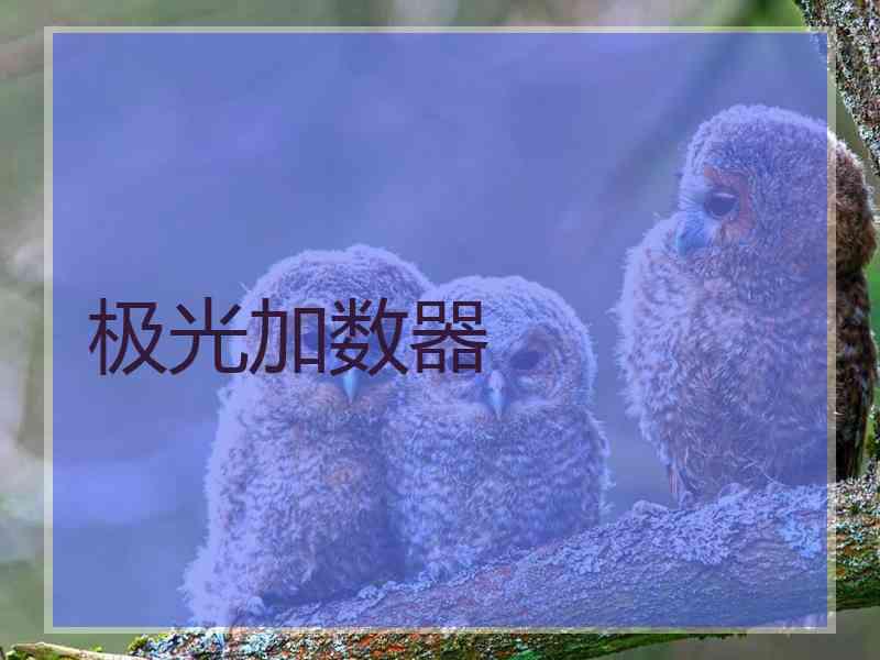 极光加数器