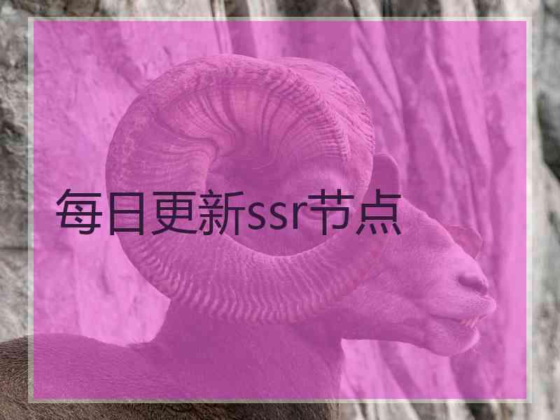 每日更新ssr节点