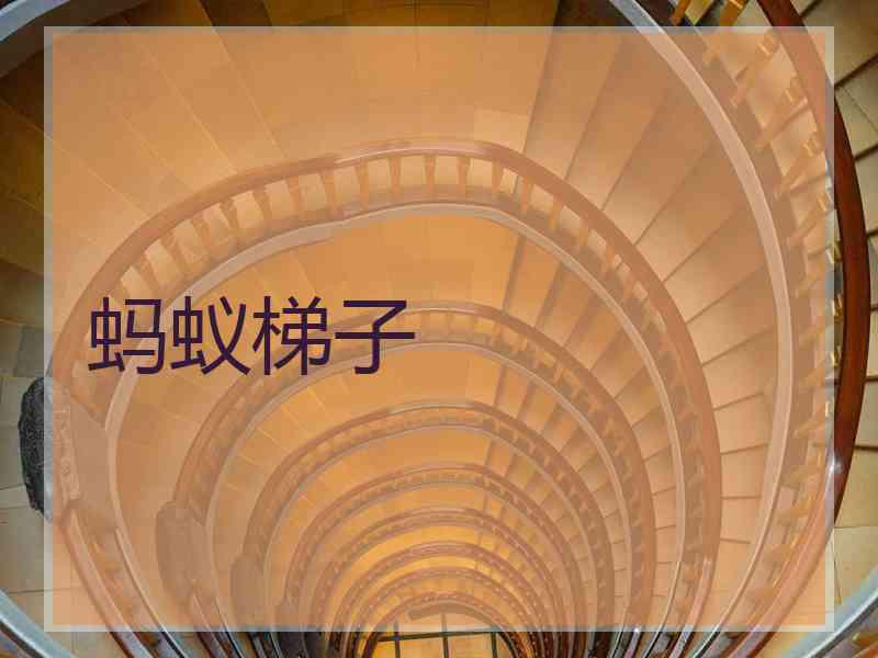 蚂蚁梯子