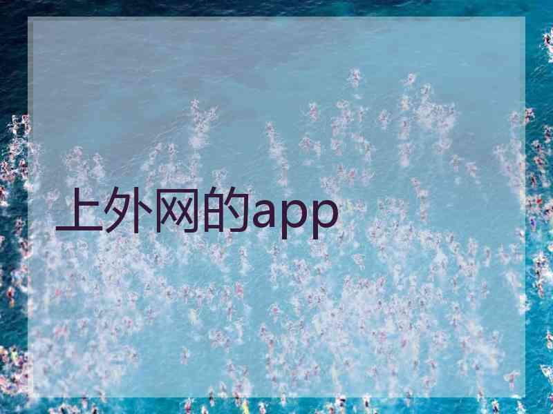 上外网的app