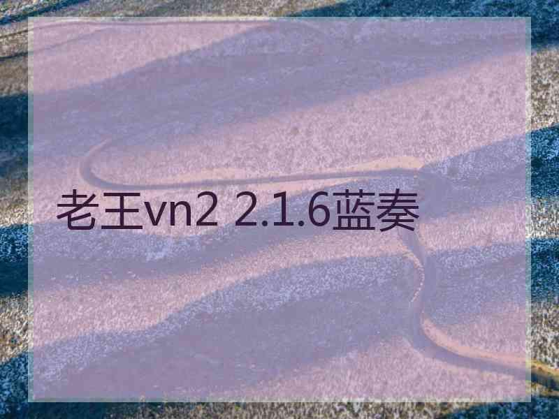 老王vn2 2.1.6蓝奏