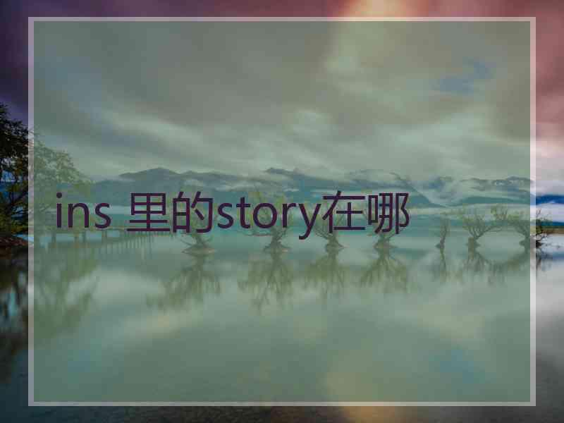 ins 里的story在哪