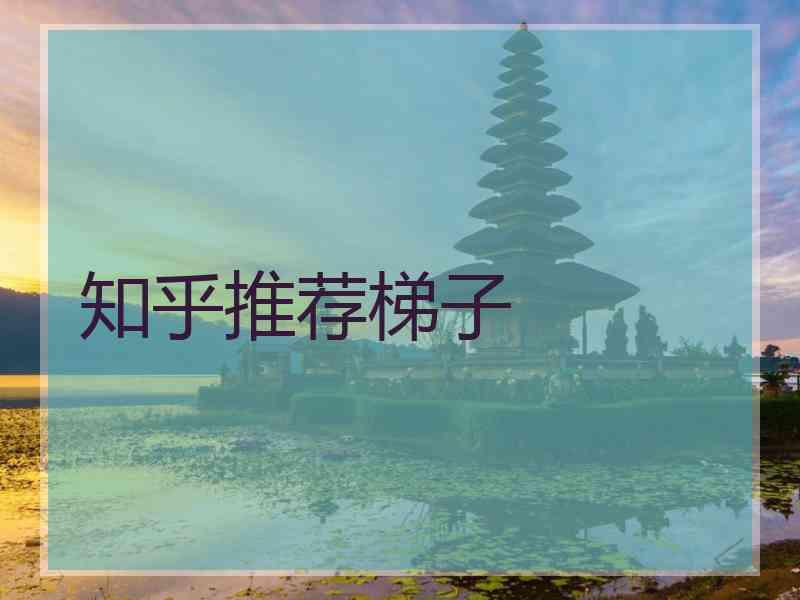 知乎推荐梯子