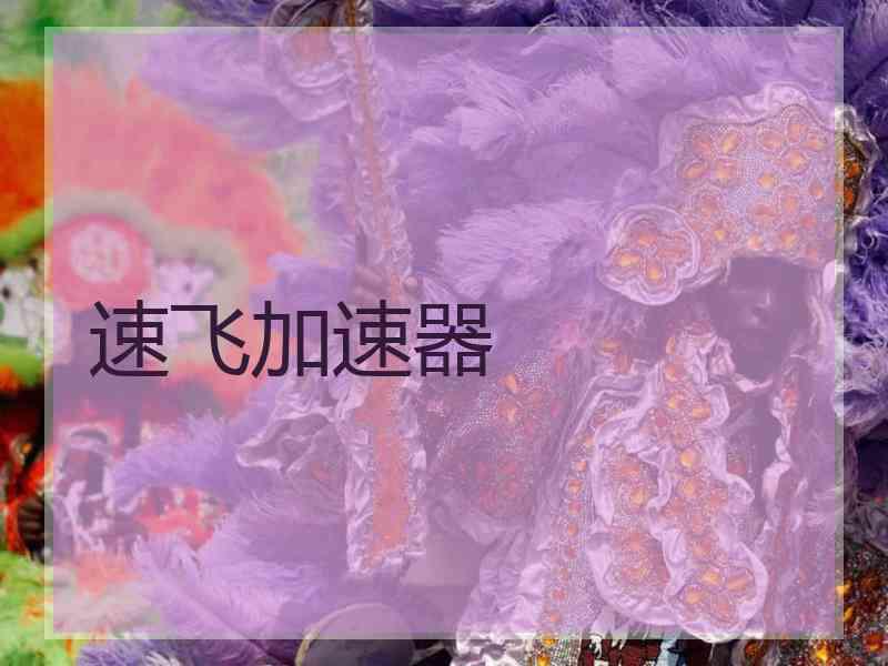 速飞加速器