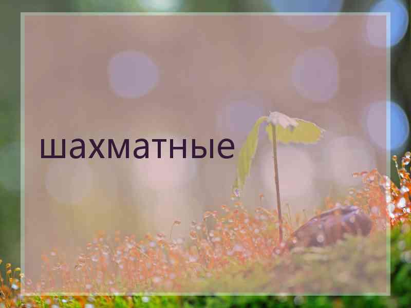 шахматные
