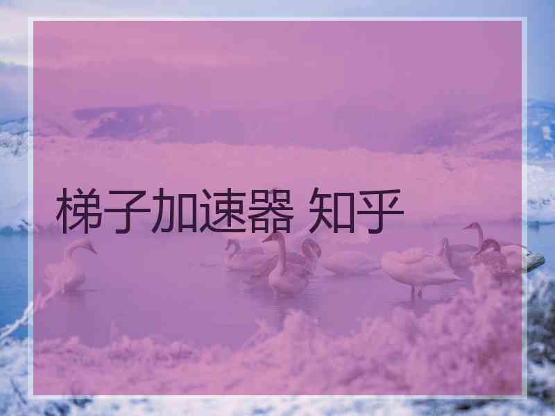 梯子加速器 知乎