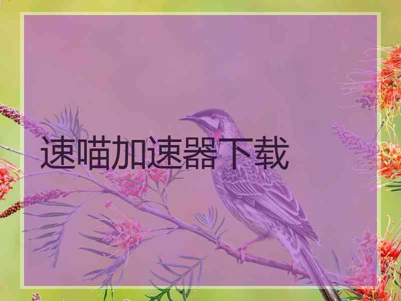 速喵加速器下载