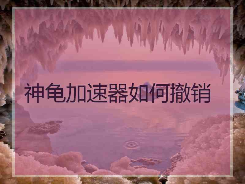 神龟加速器如何撤销